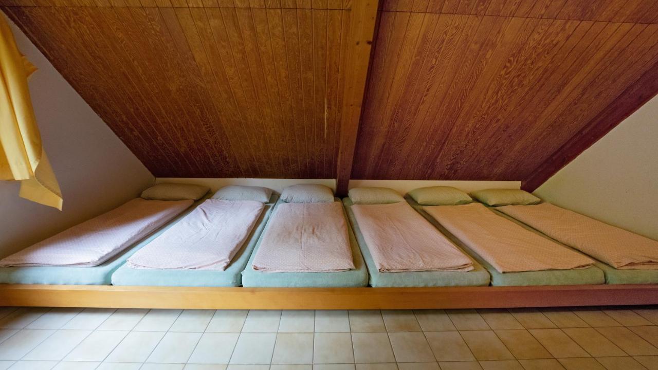 بيت شباب ديليمونت يوث ديلمونت المظهر الخارجي الصورة